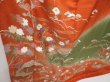 Photo3: 2105T01z1020  Japanese Kimono Silk TSUKESAGE Flowers Orangered (3)