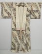 Photo10: 0622i01z850 Vintage Japanese Kimono Silk KOMON Off-white Plants (10)