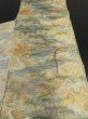 Photo8: 1D01z330 Japanese Kimono Silk OBI FABRIC Light gray Pine, Stream 99.2" (8)