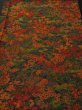 Photo1: 1P02z60 Japanese Kimono Silk  FABRIC  Garden 42.5" (1)