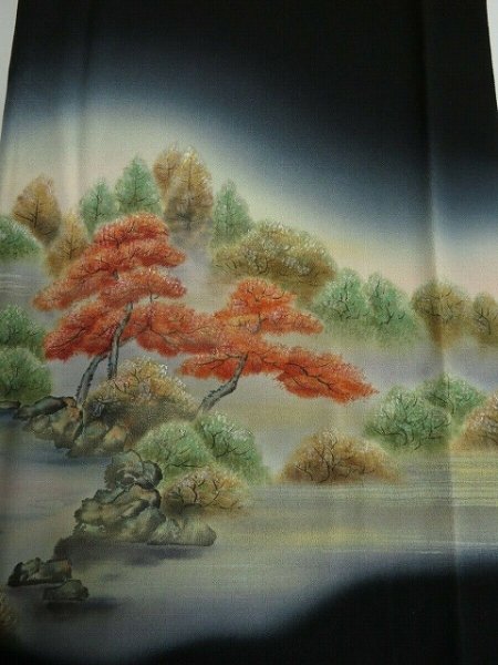 Photo1: 1Z04z80 Japanese Kimono Silk Artist work FABRIC Black Garden 44.9" (1)