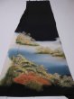 Photo5: 2i02z70 Japanese Kimono Silk Artist work FABRIC Black Scenery 46.5" (5)