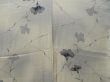 Photo5: 2026T03z830  Japanese Kimono Silk KOMON Flower Off-white (5)