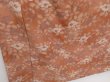 Photo3: 1614T07z940 Japanese Kimono Crepe Silk KOMON Light brown Camellia (3)