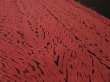 Photo2: 3R05z50 Japanese Kimono Silk  FABRIC Poppy red Shibori dyeing 52.8" (2)