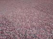 Photo3: 4K01z50 Japanese Kimono Silk  FABRIC Pink, Dark brown Kiribame 32.3" (3)