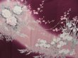 Photo7: 1424T10z970 Japanese Kimono Silk TSUKESAGE Dark purple Peony (7)