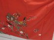 Photo5: 1415i01z1150 Japanese Kimono Silk FURISODE Light red Plum blossom (5)