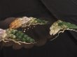 Photo2: 3Q03z140 Japanese Kimono Silk  FABRIC Black Pine 43.3" (2)