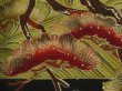 Photo2: 2Q02z160 Vintage Japanese Kimono Silk  FABRIC Black Pine tree 48.8" (2)