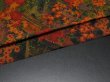 Photo6: 1P02z60 Japanese Kimono Silk  FABRIC  Garden 42.5" (6)