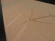 Photo2: 2T09z50 Japanese Kimono Silk  FABRIC Light brown Branch 76.4" (2)