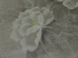 Photo4: 1D01z80 Japanese Kimono Silk OBI FABRIC Off-white Peony 47.2" (4)