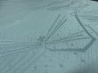 Photo3: 2K02z70 Japanese Kimono Silk  FABRIC Light blue Pine branch 42.5" (3)