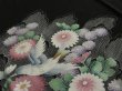 Photo2: 1W02z130 Japanese Kimono Silk  FABRIC Black Peony, Bird 46.5" (2)