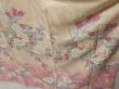 Photo4: 1327T05z1080 Japanese Kimono Silk FURISODE Pink Peony (4)