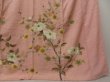 Photo6: 1327T01z970 Vintage Japanese Kimono Silk TSUKESAGE Pink Plum tree (6)