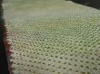 Photo2: 1B08z40 Japanese Kimono Silk  FABRIC Light green Shibori dyeing 56.7" (2)