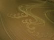 Photo3: 1R05z80 Japanese Kimono Silk  FABRIC Light ochre Wave 62.2" (3)