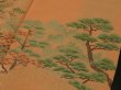 Photo3: 3N01z120 Japanese Kimono Silk  FABRIC Light apricot orange Garden 45.7" (3)