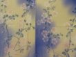 Photo5: 0928T03z560 Vintage Japanese Kimono Silk KOMON Cream-Yellow Sakura (5)