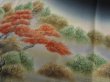 Photo3: 1Z04z80 Japanese Kimono Silk Artist work FABRIC Black Garden 44.9" (3)