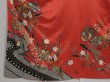 Photo4: 1415i01z1150 Japanese Kimono Silk FURISODE Light red Plum blossom (4)