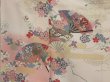 Photo8: 1313i07z840 Japanese Kimono Silk TSUKESAGE Light pink Folding fan (8)