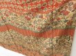 Photo10: 1602T07z1080 Japanese Kimono Crepe Silk BINGATA TSUKESAGE Light brown (10)