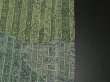 Photo6: 1A02z60 Japanese Kimono Crepe Silk  FABRIC Blue-Green Flowers 40.9" (6)