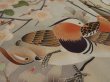 Photo4: 2S02z100 Japanese Kimono Silk  FABRIC Black Mandarin duck 45.7" (4)