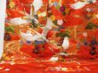 Photo5: 2214T03z4120  Japanese Kimono Silk UCHIKAKE Flying crane Tomato red (5)