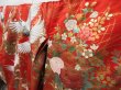 Photo2: 2214T05z4060  Japanese Kimono Silk UCHIKAKE Flying crane Red (2)