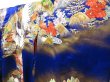 Photo2: 2304T01z4250  Japanese Kimono Silk UCHIKAKE Crane Oriental blue (2)