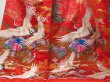 Photo5: 2304T03z3810  Japanese Kimono Silk UCHIKAKE Flying crane Red (5)