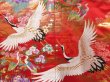 Photo8: 2304T03z3810  Japanese Kimono Silk UCHIKAKE Flying crane Red (8)