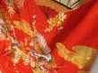 Photo4: 2304T04z4530  Japanese Kimono Silk UCHIKAKE Flying crane Tomato red (4)