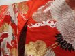 Photo2: 2304T05z4140  Japanese Kimono Silk UCHIKAKE Flying crane Tomato red (2)