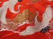 Photo8: 2304T05z4140  Japanese Kimono Silk UCHIKAKE Flying crane Tomato red (8)