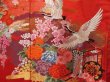 Photo8: 2304T06z4350  Japanese Kimono Silk UCHIKAKE Flying crane Red (8)