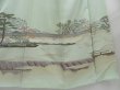 Photo6: 2401T01z1040  Japanese Kimono Silk IROTOMESODE Rock garden Soft green (6)