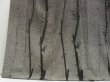 Photo5: 2827T02z990  Japanese Kimono Silk ARTIST WORK TSUKESAGE Plum tree Black (5)