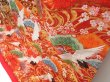 Photo4: 2916T02z4260  Japanese Kimono Silk UCHIKAKE Flying crane Red (4)