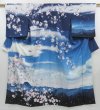 Photo1: 2911T06z810  Japanese Kimono Silk TSUKESAGE Scenery Dark navy (1)