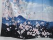 Photo5: 2911T06z810  Japanese Kimono Silk TSUKESAGE Scenery Dark navy (5)