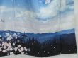 Photo6: 2911T06z810  Japanese Kimono Silk TSUKESAGE Scenery Dark navy (6)