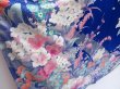 Photo3: 3014T02z1190  Japanese Kimono Silk FURISODE Flowers Royal blue (3)