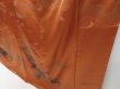 Photo4: 3021T03z970  Japanese Kimono Silk TSUKESAGE Chrysanthemum Dark orange (4)