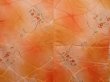 Photo3: 3121T02z560  Japanese Kimono Silk HAORI Flower Orange (3)