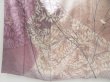 Photo5: 3222T01z990  Japanese Kimono Silk ARTIST WORK TSUKESAGE Butterfly (5)